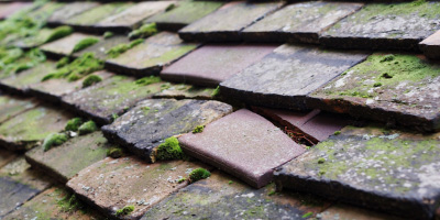 Castle Fields roof repair costs